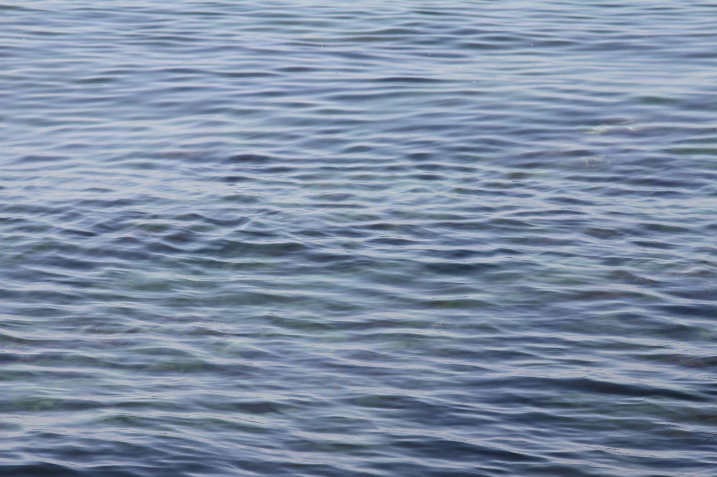 Sunlit ripples running across the surface of open water